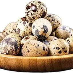 Fresh Quail Eggs | Pack of 12 eggs | Baṭer ke aṇḍe | बटेर के अंडे | ಕಾಡಿ ಮೊಟ್ಟೆ | കാട കുഞ്ചുങ്ങൾ | High Protein & Nutrition-Rich | 100% Farm Fresh.-image-6