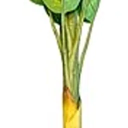 Artificial Plant with Large Green Leaves, Black Decorative Base-picture-27