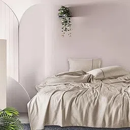 Spread Spain Cotton Oxford 400 Thread Count Geometric Pattern King Size Double Bed Zipper Duvet/Quilt Cover Soft and Comfy Duvet Cover Taupe (90" x 108" inch)-picture-21