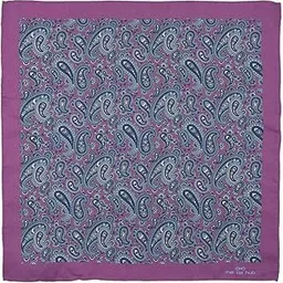 the tie hub Purple With Blue Paisley Silk Pocket Square For Men-picture-38