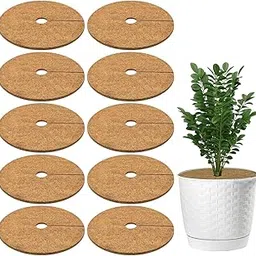 Casa De Amor Coco Coir Mulch Ring Mat 10 Inches, Pack of 10 | Natural Coconut Fiber Plant Protector for Indoor & Outdoor Plants | Weed Control & Moisture Retention | Root Protection & Soil Health-image-60