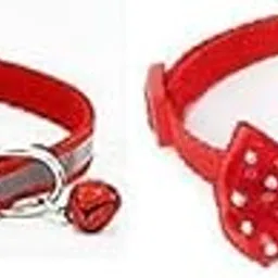 Dog Trust 10mm Cat Collar Belt Tie with Small Bell for Playing and Training Cat, Rabbit, Durable Nylon Kitten and Small Pet - Red (Pack of 2)-image-32