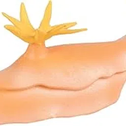 Enakshi (LABEL) Creations Lifelike Marine Animal Figure Toys Science Animal Teaching for Home Tabletop-image-20