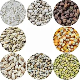 SundarLaxmi Seven Assorted Grains - 700 Gram (100G Each) | 7 Dhan | Dhaan | Sapt Dhany For Pooja (?????????? ??????????????? / 7 ?????????)-picture-25