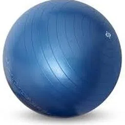 TE TULSI Enterprises Gym Ball 55 MM for Exercise, Yoga, Anti-Burst Physio Ball, Pregnancy Exercise for Home Gym Ball-image-94