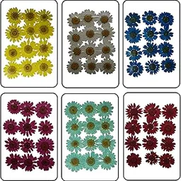 Natural Dried Flowers for Resin Art Pressed Daisy Flower 3 Sheet Combo (12 x 3) - Candle Making Material Decorative Dry Flowers for Candle Making & Craft-image-61
