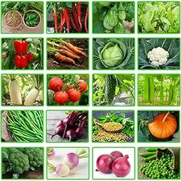 Monsoon vegetable seeds (150 seeds)-picture-31