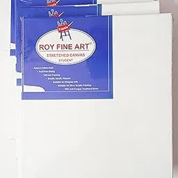 Worison Roy Fine Art Primed Cotton Pre Stretched Canvas with Wooden Frame White, 10 x 12 Inch (Pack of 4)-picture-47