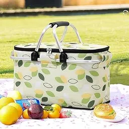 RIGJAK Picnic Storage Solution - Insulated, Collapsible, and Easy to Carry - Perfect for Family Picnics, Outdoor Events, and Camping Trips-picture-22