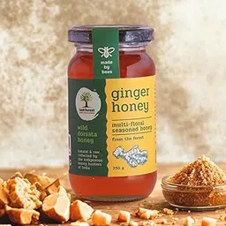Last Forest Wild Ginger Honey 250g, Unprocessed Raw Honey, Wild Forest Honey with No Added Sugar or Preservatives image 1