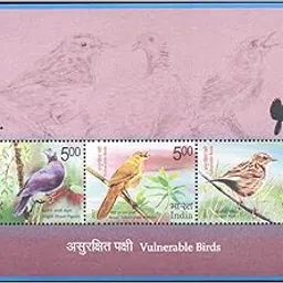 India 2017 Vulnerable Birds - Miniature Sheet (MS) of 3 Postage Stamps Mint Unhinged Multicolor-picture-12