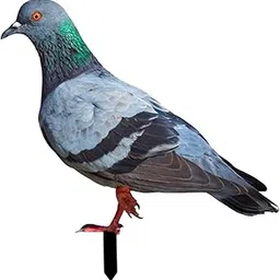 BNF® Pigeon Statue Garden Stake Yard Sign Yard Art for Pathway Farmhouse Backyard 31x30x0.1cm|Yard, Garden & Outdoor Living|Statues & Lawn Ornaments|1x Pigeon Statue Garden Stake-picture-12