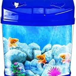 Diya's Mini Table Aquarium, 2.5 L Divided Fish Tank, 30 x 25 x 15 cm,-picture-12