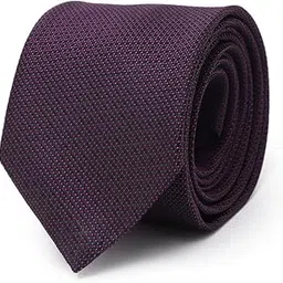 Men Purple Embroidered Formal Tie-image-79