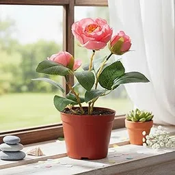 The Better Home Artificial Plants for Decoration with Pot (17cm) | Indoor Plants for Home & Office | Artificial Flowers with Pot for Living Room, Bedroom, Reception & Tabletops-image-43