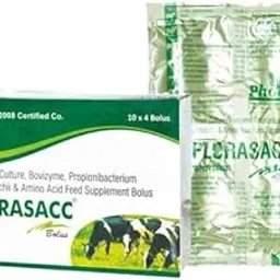 Phoenix Florasacc Bolus (10x4 Strip)-picture-25