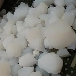 Urancia® Banslochan Bambusa Arundinacea Vanshlochan Arundinacea Tabasheer 100gm-picture-20