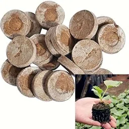 Zyvola Grow Your Garden with 30mm Coir Peat Granules: Seed Starter Pods for Herbs & Seedlings in Trays-picture-12