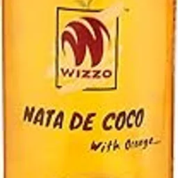 All-Season Orange Burst: WIZZO Nata De Coco Juice (Pack of 24)-image-45