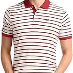 arrow sports Arrow Regular fit Striped Polo Shirt-picture-14
