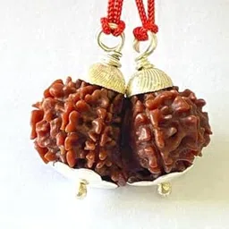 Dine Gems नेपाली गौरी शंकर रुद्राक्ष Naturally Attached Gauri Shankar Rudraksha Original Certified Gori Shanakr Rudraksha Brown Bead Gowri Shanakr Rudraksha for Astrological गौरीशंकर रुद्राक्ष-picture-35