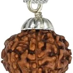 High Grade 9 Mukhi Rudraksha Original Certified 9 Face Rudraksha Nine Mukhi Rudraksha Nepal Silver Capped Nav Mukhi Rudraksha Beads Blessed Lord Maa Durga 9 मुखी रुद्राक्ष नेपाली ओरिजनल-image-25