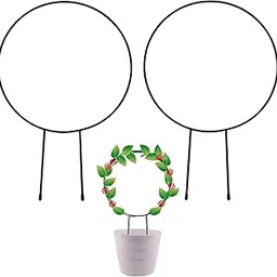 Acrylic Design Art 2PCS Metal Garden Trellis for Plant Climbing, 13 Inch Decorative Potted Plant Support Stakes, Iron Climbing Plant Stand for Flowers and Vegetables, Grid Rose Vine Ivy (Round)-picture-26