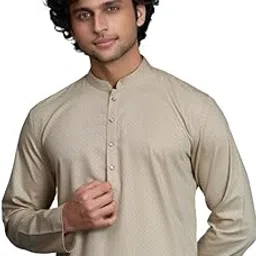 ekatva ethnic Men Fawn Pure Cotton Self Jaquard Kurta Pyjama-picture-15