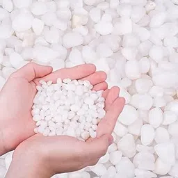 ELORAA Pebbles for Indoor Plants | 1/5 Inch Pea Gravel for Fish Tanks | Decorative Rocks for Succulents, Vases, Cactus, Landscaping, Bird Bath, Aquarium | Jade Stone 1KG-picture-15
