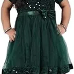 Xavima Half Sleeve Embroidery Sequinned Frock image 1