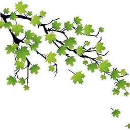 Green Leaf Tree Sticker | Wall Sticker for Living Room/Bedroom/Office and All Decorative Stickers Large Size-picture-10