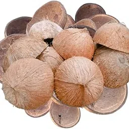 Natural Coconut Shell Husk Pieces, Raw Dried Coir, 15-20 cm, Decorative Craft Material1Kg-image-39