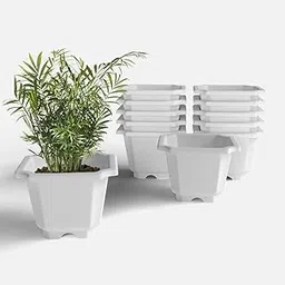 YUCCABE ITALIA SHERA Octa Square Imported Plastic Flower Pot with Drainage Holes Round Planter Pot Suitable for Indoor Outdoor Kitchen Garden (White, 12 INCH - 12 Pcs)-image-22