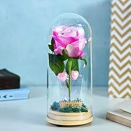 Birthday Gift for Husband – Preserved Pink Rose in Glass Dome with LED Light – A Timeless Romantic Gift and Decorative Piece for Special Occasions Like Valentine’s Day and Anniversaries-image-8