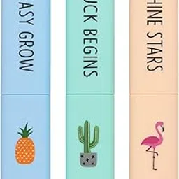 Portable Toothbrush Travel Cases, Set of 3, Decorative Design with Pineapple, Cactus and Flamingo Motifs-image-95