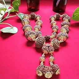 Rare Gems Gallery 1 to 21 Mukhi Nepali Rudraksha Premium Indrani Mala Original Certified Indraksh Mala with Trijuti Gold Capping एक से इक्कीस मुखी रुद्राक्ष माला के साथ गौरी शंकर गणेश रुद्राक्ष-image-3