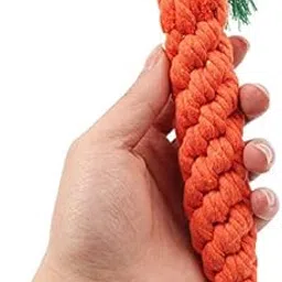 generic 1 Pcs Cute Adorable Pet Chew Toy Straw Carrot for Hamster Guinea Rabbit Rat Animal Supplies Maize Pets: 1-picture-29