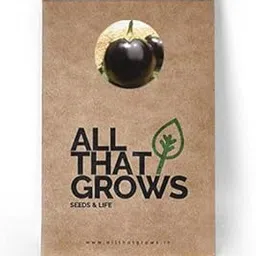 VIBEX® RDX-78-Brinjal Seeds-picture-49