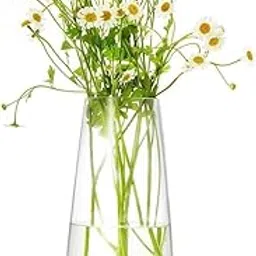 GATIORA Decorative Glass Vase Transparent Oval Flower Vase 7 Inch for Living Room, Center Table, Home & Office Décor (Clear)-picture-34