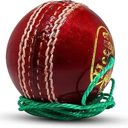 Heega ™ Practice Hanging Cricket Ball (Knocking Ball)-picture-31