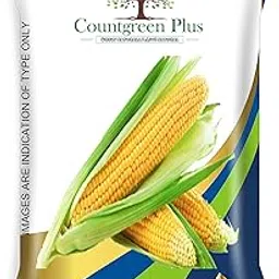 Countgreen Plus Sweet Corn Organic Gardening Vegetable Seeds Pack of 40 Seeds For Farms and Garden (Pack of 1)-picture-21