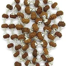bhayaji Rudraksha Natural Rudra Silver Cap Chain Woodenbegar Mala 54 Bead Silver Chain for Unisex Adult-picture-17