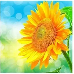 2xDIY Diamond Painting by Number Kit Full Drill Round Rhinestone Sunflower B Crafts | Needlecrafts & Yarn | Embroidery & Cross Stitch | Hand Embroidery Kits | Cross Stitch Kits-image-61