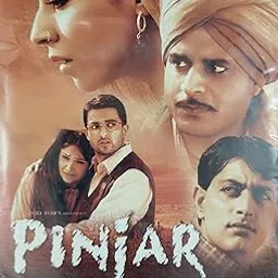DKD Pinjar Hindi Movie vcd-picture-13