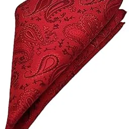 France Men's Designer Pocket Square Paisley Satin Microfiber Free Size-image-78