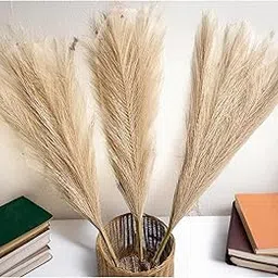 SPHINX Artificial Pampas Grass, 41cm Faux Pampas, Fluffy, Perfect for Diwali Decor, Housewarming Gifts, Wedding Arches, Home & Office Decoration- (3, Beige)-image-29