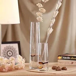 Glass Flower Vases Elegant Home Décor Vase Pots for Living Room, Dining Table, Bedroom, and Diwali Decoration Set of 2 (12, 6 Inch)-picture-16