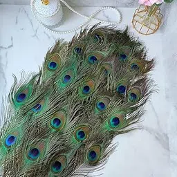 GIRLYZ Attire Peacock Feathers Long Natural Tails 32-35 Inch for Vase Craft Vase Wedding Home Party Christmas Day Decoration Peacock Feathers (24)-image-2