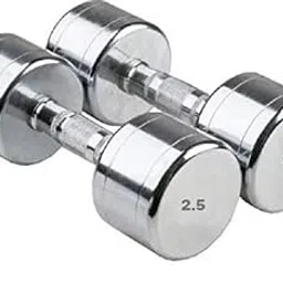 Kizlo Pair of Steel Dumbbells(2.5KG - 10KG) Fixed Weight Dumbbell, Home Gym For Men And Women (Silver, 2.5KG X 2PCS)-picture-28