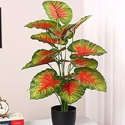 Home Bloom Artificial Miniature PVC Silk Photosh Floor Plant with Big Leaves with Pot (Multicolour-1)-image-8
